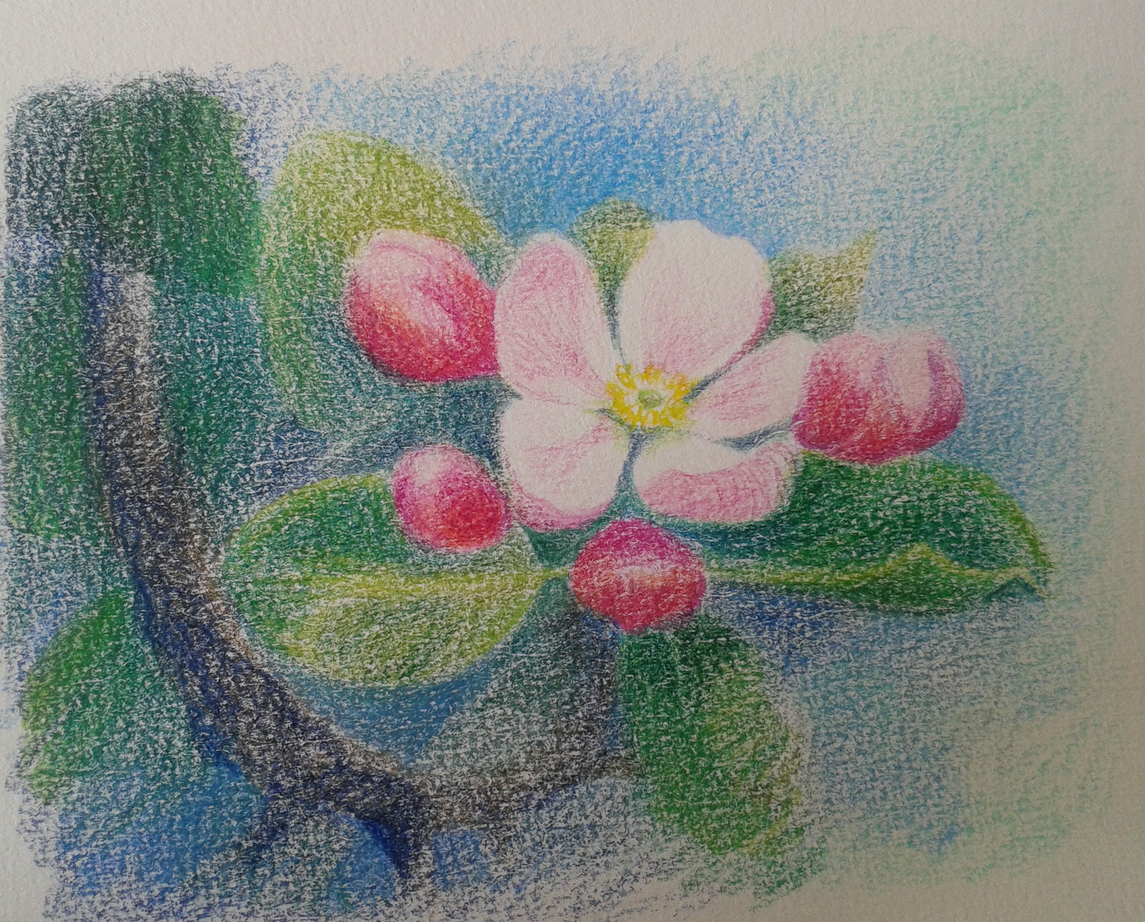 http://www.brigittepovel.nl-kunstzinnige-therapie-grafietpotlood-greinen http://www.brigittepovel.nl-kunstzinnige-therapie-grafietpotlood-greinen